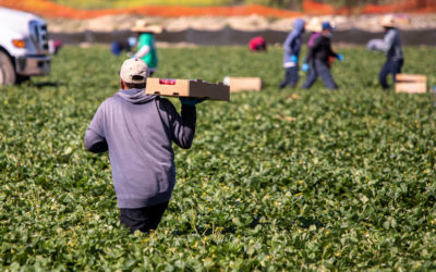 our legal news picks 84 EEOC Settles With Company Amid Pro-American Enforcement