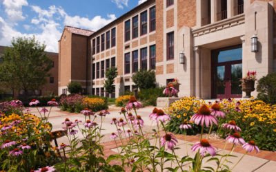 our legal news picks 44 Mitchell Hamline Law Professor Integrates AI Into Contracts Course