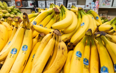 our legal news picks 35 Chiquita Lays Out Appeal of Landmark Florida Case that Found the Banana Grower Liable for Colombia Terror Deaths