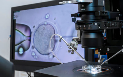 our legal news picks 41 Discovery of Alleged 1981 Error in Fertility Clinic Prompts $17M Suit