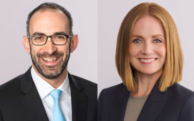 Exercising a Comparative Advantage: Economic Consultants and Pro Bono Work