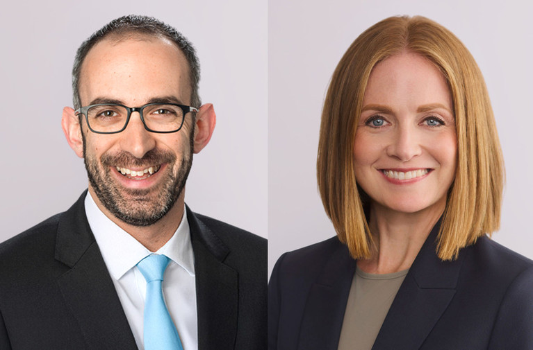 Exercising a Comparative Advantage: Economic Consultants and Pro Bono Work