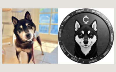 our legal news picks 13 Who Owns a Meme? Doge Sues Rival Over Cocoro Token