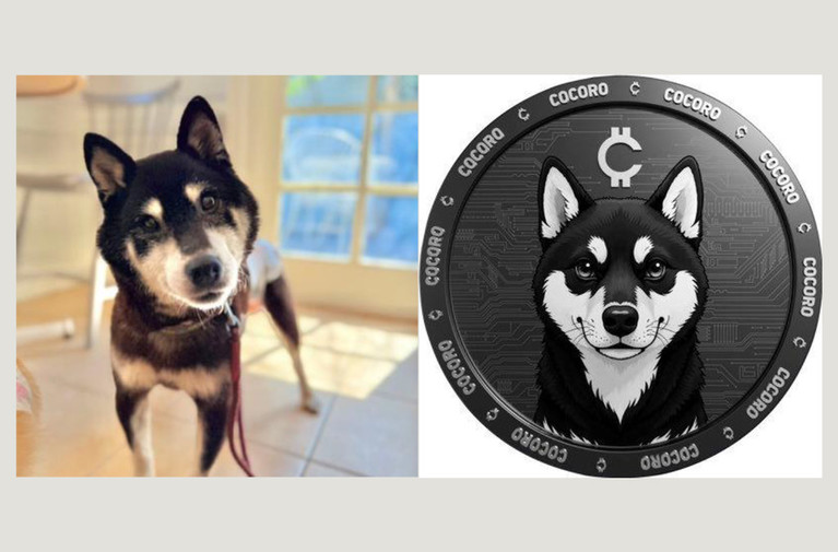 Who Owns a Meme? Doge Sues Rival Over Cocoro Token