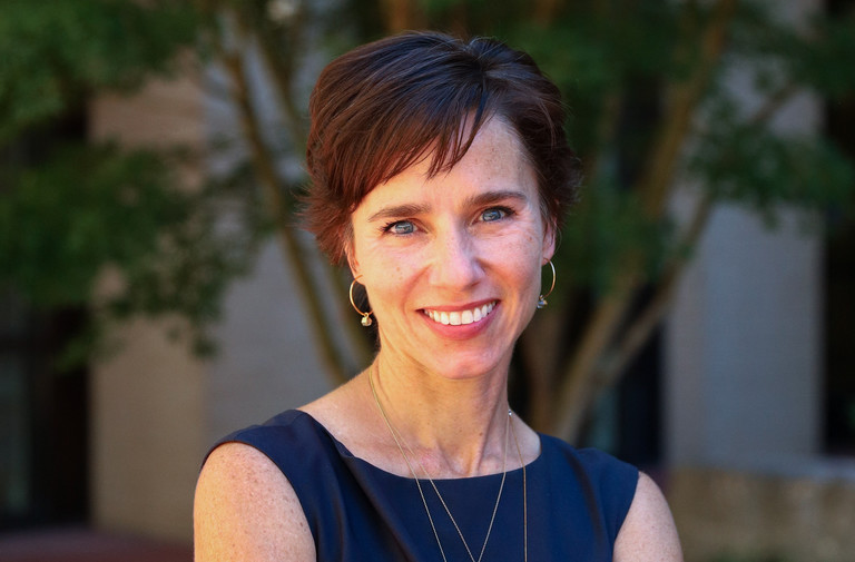 Over 175 Law Professors Sign Letter to Protest Arkansas Law Deanship Revocation