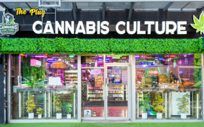 our legal news picks 48 Maturation of Cannabis Industry Is Bringing Out the Lawsuits