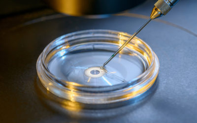 our legal news picks 62 Class Action Over IVF ‘Add-On’ Screening Technology Can Continue, Federal Judge Rules