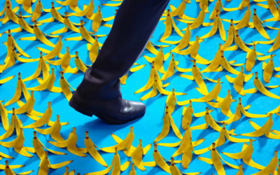 our legal news picks 21 Vision, Ownership, And Profit: What Law Firms Must Fix First