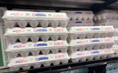 our legal news picks 27 Consumer Class Action Against Eggland’s Best ‘Cage Free’ Advertising Moves Forward, Judge Rules
