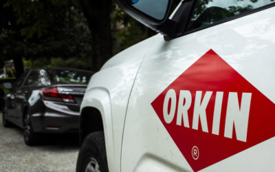 our legal news picks 52 Orkin Parent Ordered to Release 18,000 Workers From Noncompetes