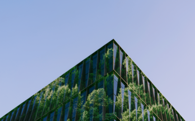 our legal news picks 17 The Leadership Shifts That Drive Law Firm Growth
