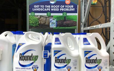 ‘Baseless and Untimely’: Monsanto Moves to Remand Roundup Settlement After Objectors Head to Federal Court
