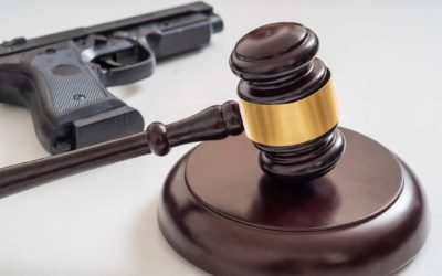our legal news picks 69 The NRA Sees A Lot Of Targets — See Also