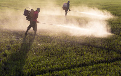 our legal news picks 26 New Vermont Laws Underscore States’ Bipartisan Embrace of Chemical Regulation