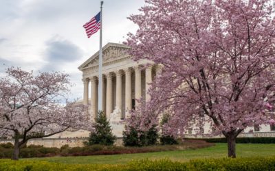 If At First You Fail Miserbly At The Supreme Court, Try, Try Again — See Generally