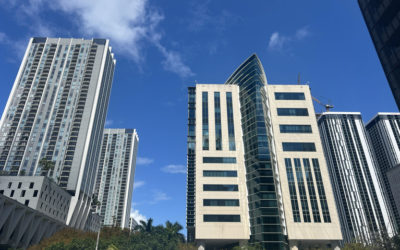 our legal news picks 22 ‘The Most Whack-a-Mole of All of My Cases’: Miami Judge Grapples With Ballooning Smartmatic Docket