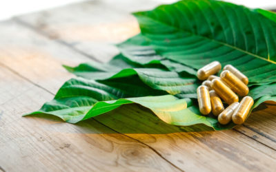 our legal news picks 21 Litigation Trends to Watch: Plaintiffs Target Big Tech, Sweepstakes Casinos and Kratom