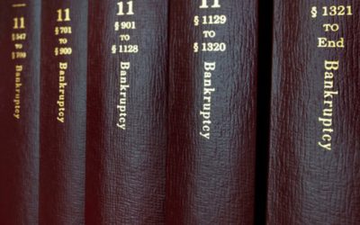 our legal news picks 11 Retention of Bankruptcy Professionals: Court Concludes that a Debtor’s First Cousin Is Not a “Relative and Thus Not an “Insider