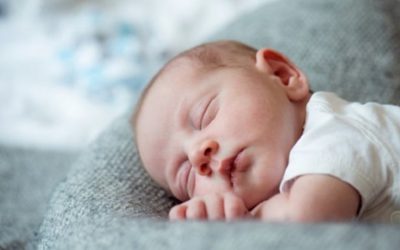 Bellwether Infant Formula Trial to Proceed After Besting Mead Johnson’s Preemption Challenge