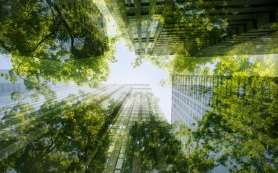 our legal news picks 51 The 3 Things Every Healthy Organization Needs