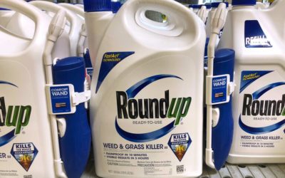 ‘Monsanto Did Not Adequately Test’: 1st Roundup Trial Since SCOTUS Ruling Begins in Missouri