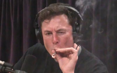 Up To 90% Of Elon Musk’s Fans May Have Been Russian Bots, And Ukraine Just Silenced Them