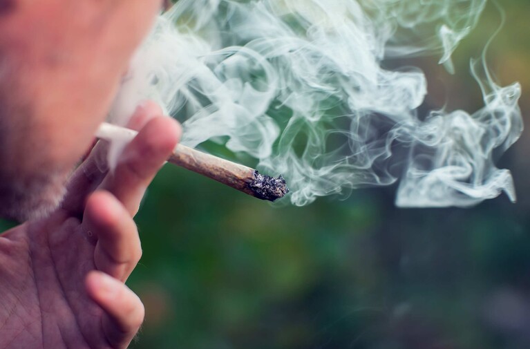 Massachusetts Cannabis Repeal Vote Would Trigger Financial Fallout for Industry, Experts Say